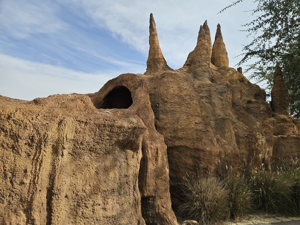מדבריום, גן חיות בבאר שבע