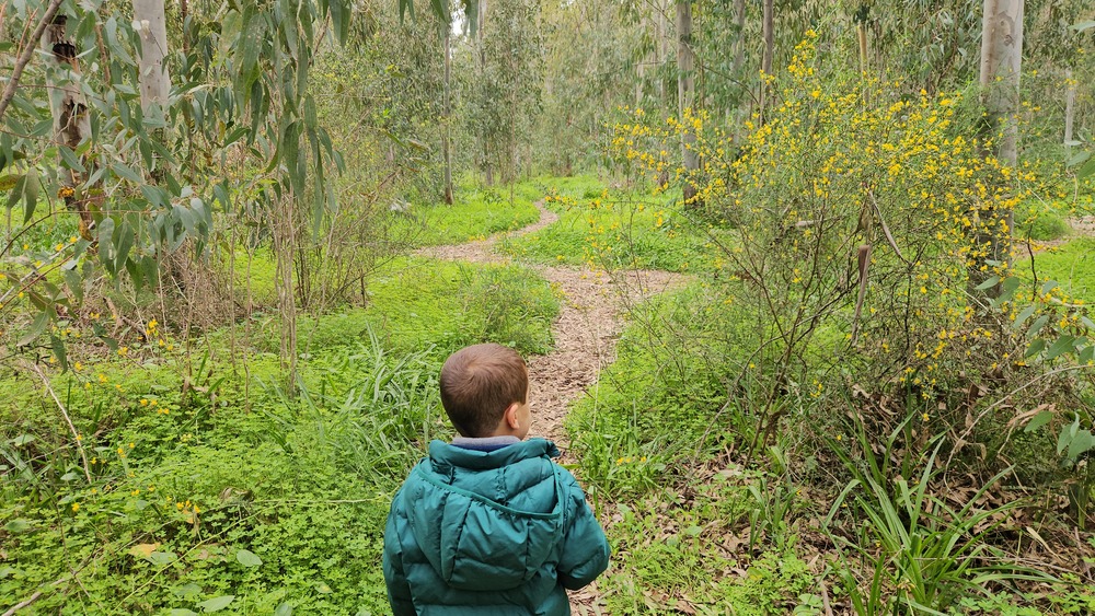 חורשת הסרג'נטים, נתניה